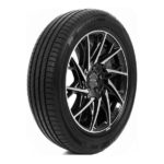 205/45 R17 88V XL DS2 DELINTE