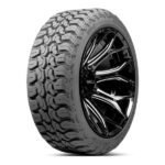 LT265/65 R17 120/117Q DX-9 DELINTE